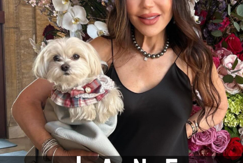 Jane Scher Exclusive Interview – Don’t Depend On Anyone Else, And Be Kind To Everyone