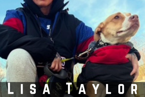 Lisa Taylor Greene Exclusive Interview – Train Your Dogs To Live The Best Life, Dogs Are Great Deterrents