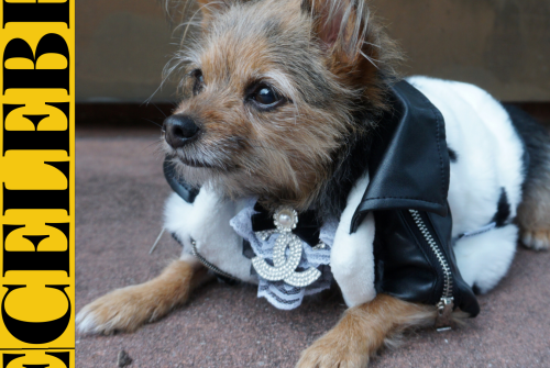 Miley Jo Exclusive Interview – Enjoy Every Moment And Embrace Life As A Gift  