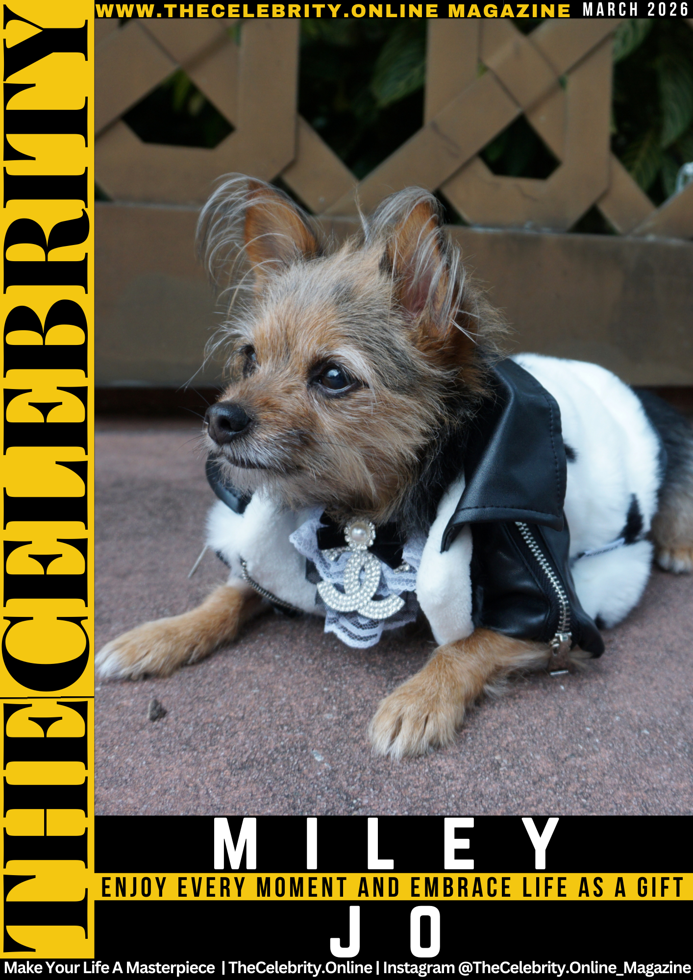 Miley Jo Exclusive Interview – Enjoy Every Moment And Embrace Life As A Gift  